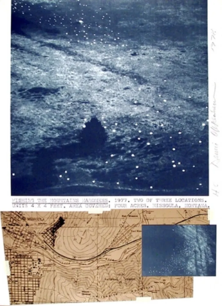 Lithografie Oppenheim - Wishing the Mountains Madness