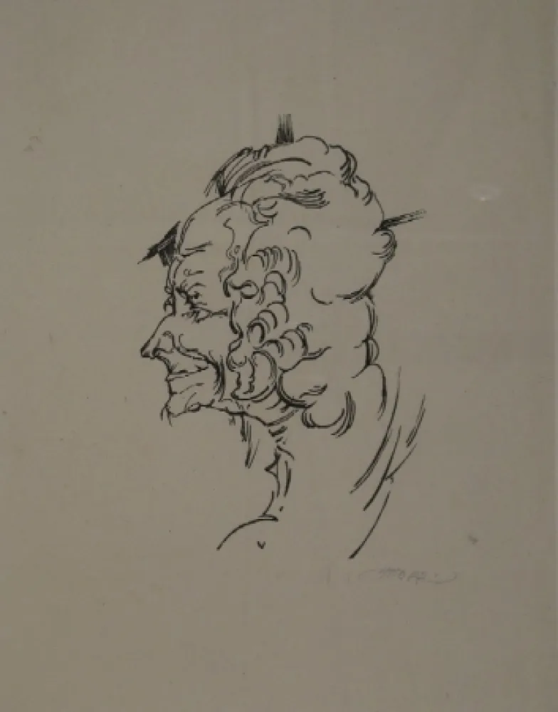 Houtsnede Oppenheimer - Voltaire