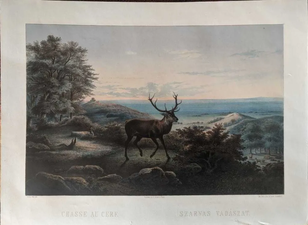 Geen Techniek Orczy - Chasse au cerf / Szarvas vadászat