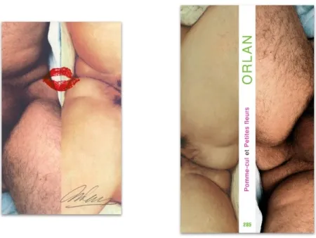 Geïllustreerd Boek Orlan - L'art en écrit