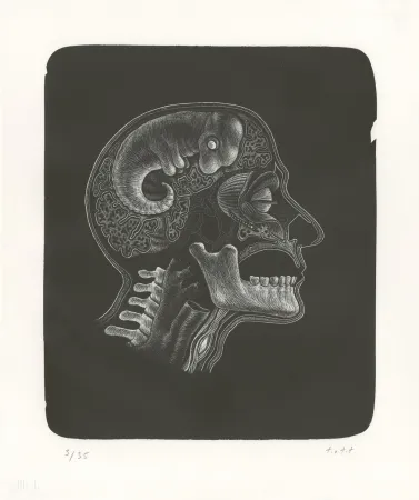 Lithografie Ott - Idee (Idée)