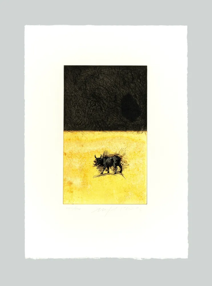 Ets En Aquatint Paladino - Bue