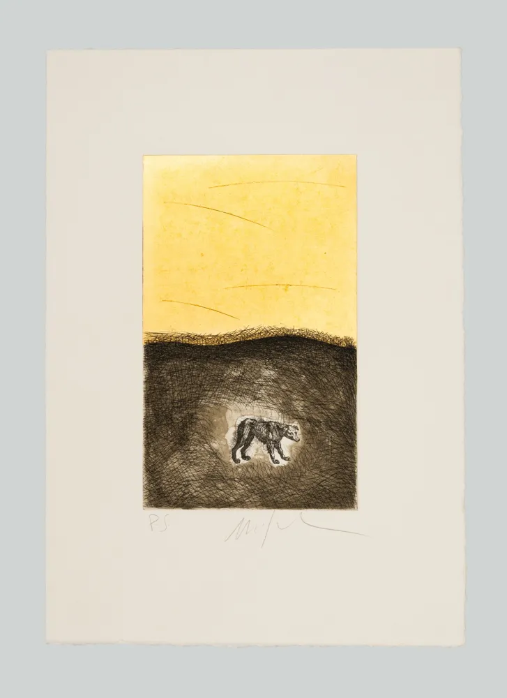 Ets En Aquatint Paladino - Cane