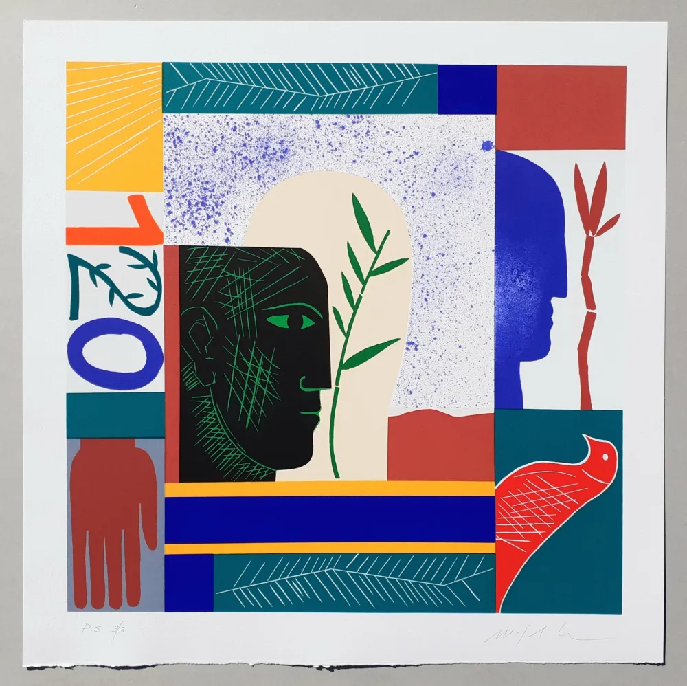 Zeefdruk Paladino - Composizione