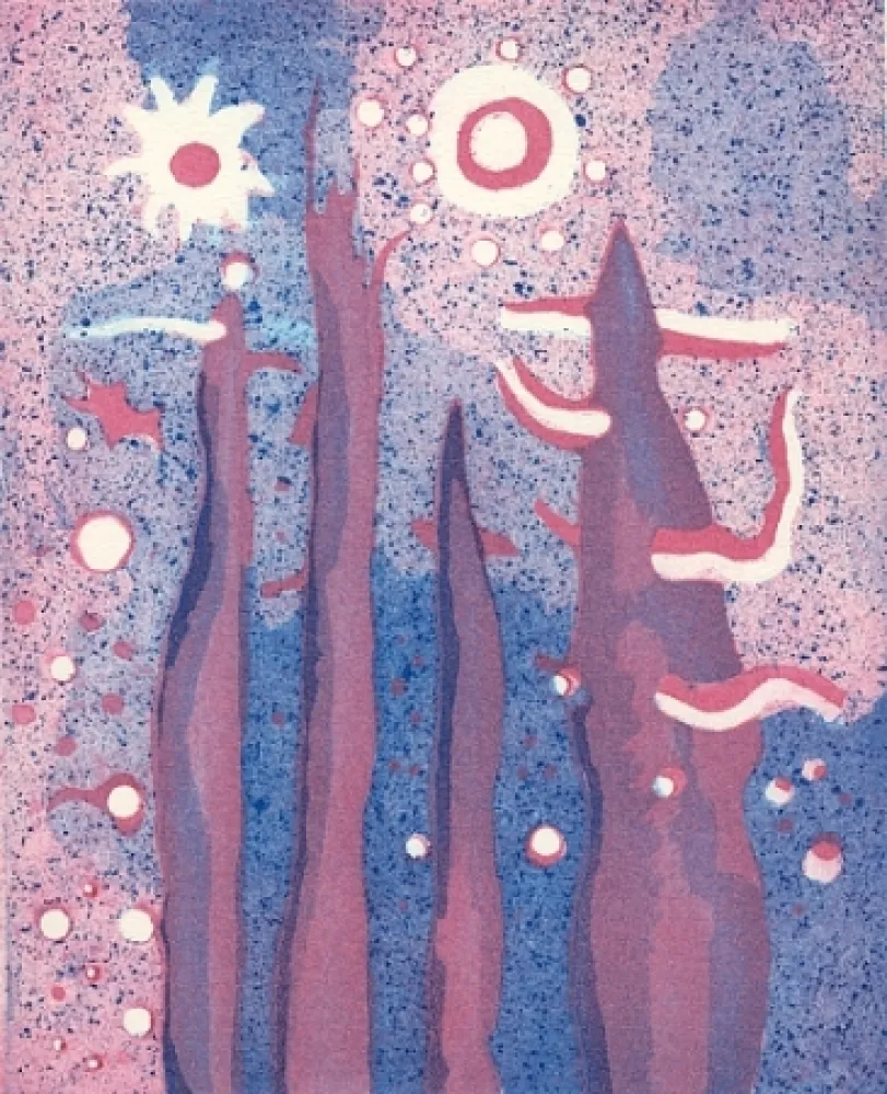 Geïllustreerd Boek Paladino - Piano-sequenza