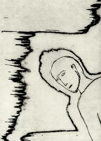 Geïllustreerd Boek Paladino - Piccolo circolo chiuso