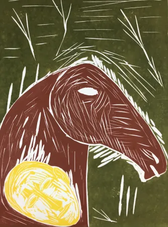 Linosnede Paladino - Senza titolo