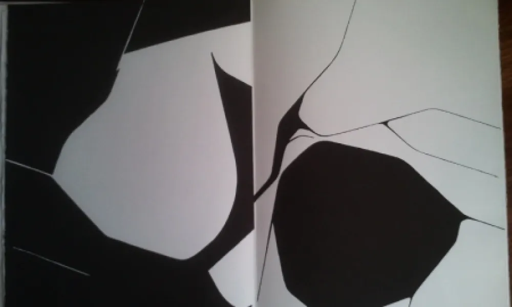 Geïllustreerd Boek Palazuelo - DLM 137 LUXE.