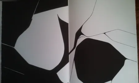 Geïllustreerd Boek Palazuelo - DLM 137 LUXE.