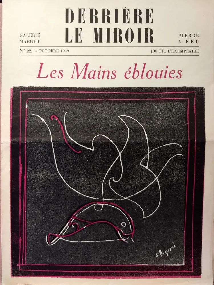 Geïllustreerd Boek Palazuelo - Dlm22