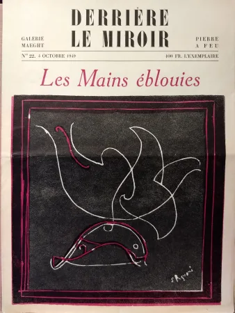 Geïllustreerd Boek Palazuelo - Dlm22