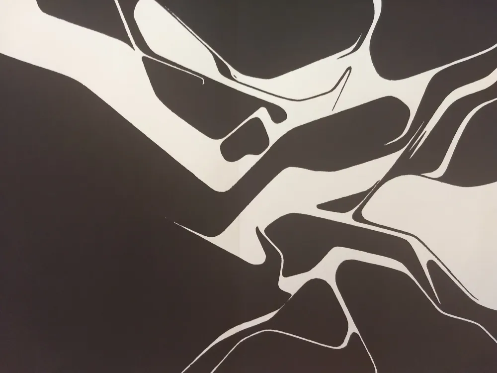 Geïllustreerd Boek Palazuelo - Edition Tete DLM 137