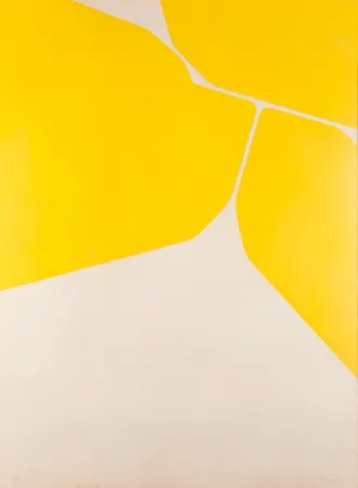 Aquatint Palazuelo - Gótica II