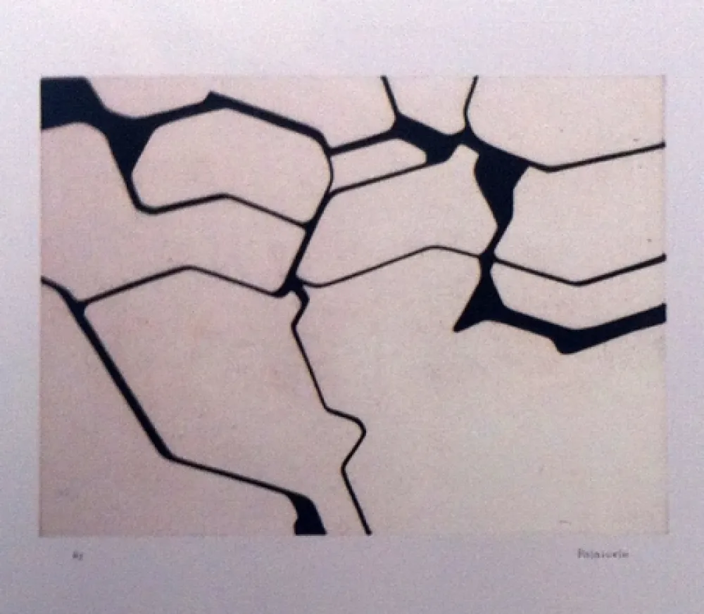 Aquatint Palazuelo - Nemo II