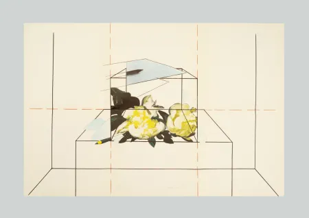 Lithografie Paolini - Come è / Come se