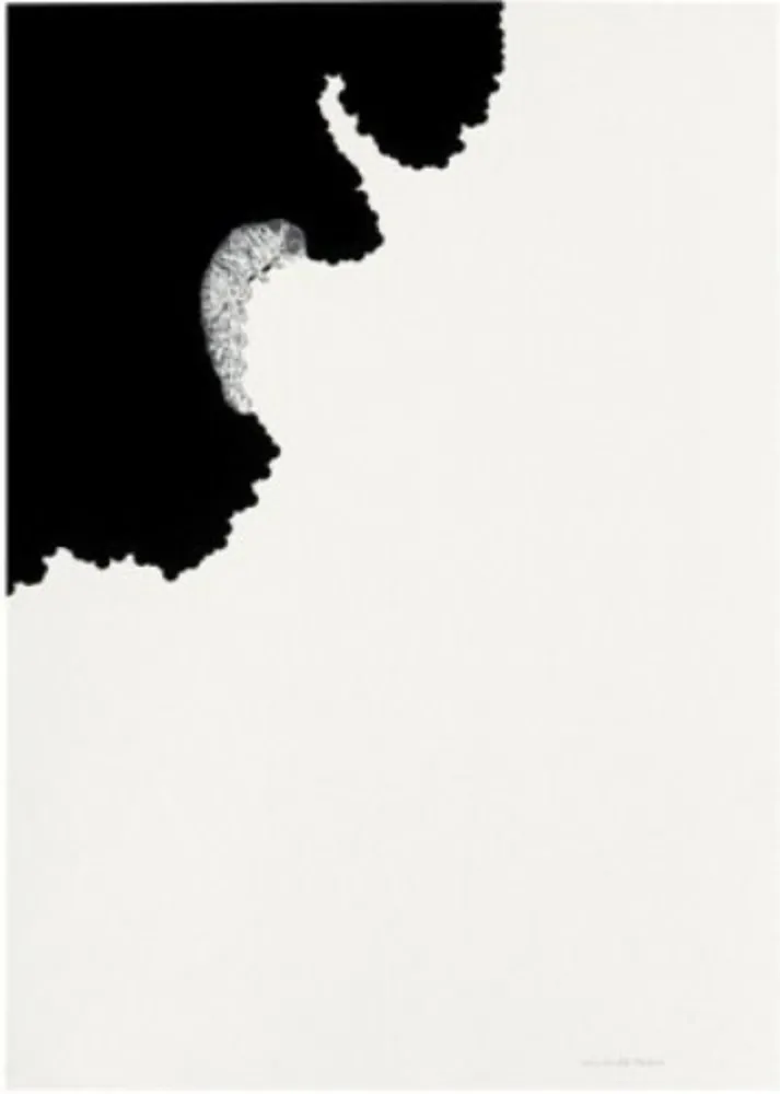 Lithografie Paris - Oruga