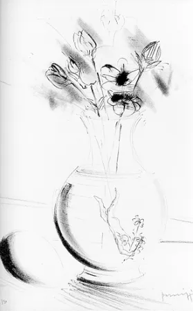 Geïllustreerd Boek Parmiggiani - Satyavati