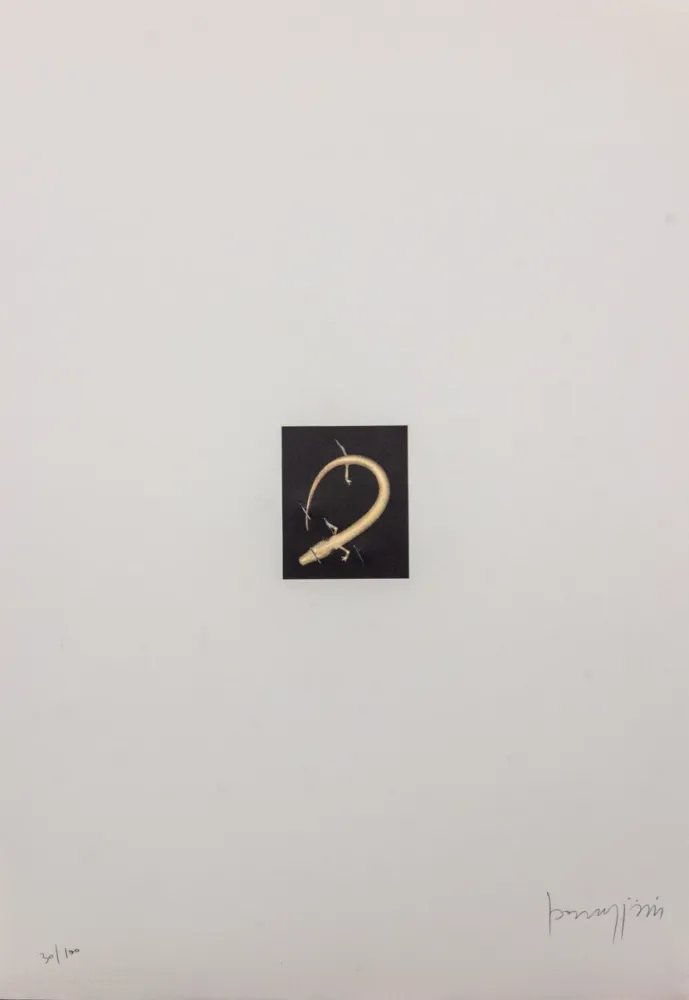 Lithografie Parmiggiani - SENZA TITOLO