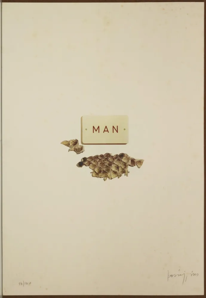 Lithografie Parmiggiani - Senza titolo