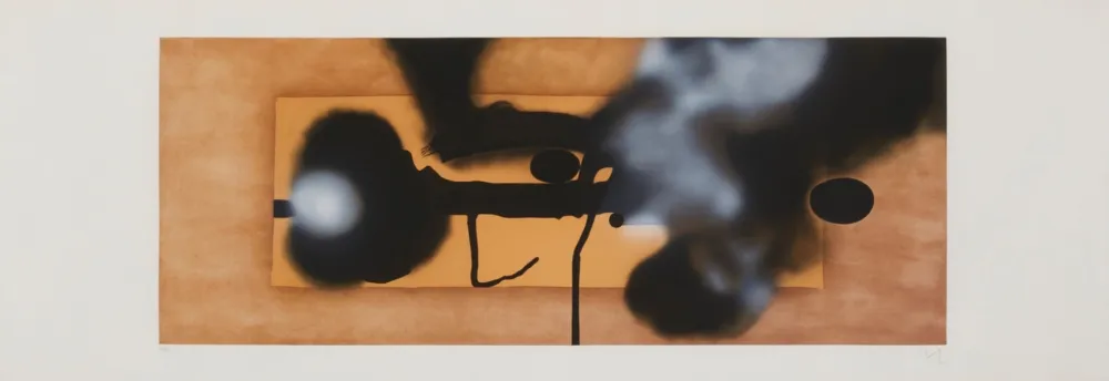 Gravure Pasmore - Metemorphosis