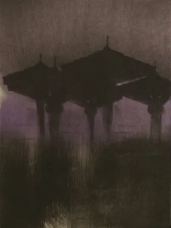 Droge Naald Paul P - Parasols