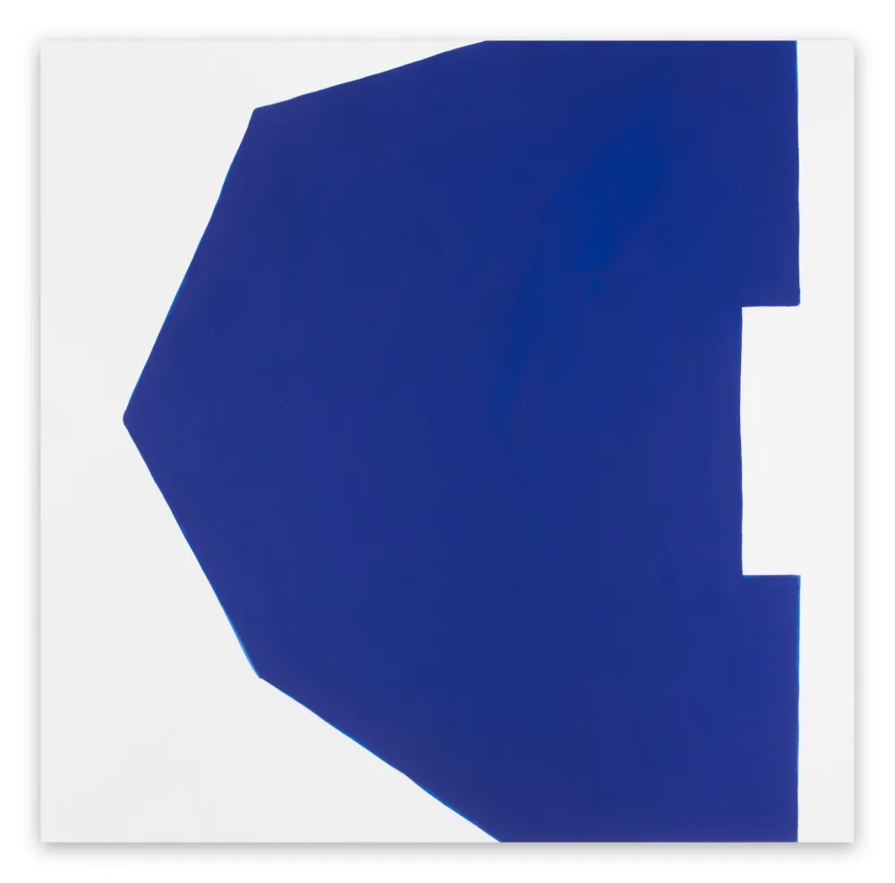 Geen Techniek Pedersen - Cut-Up Paper II.8