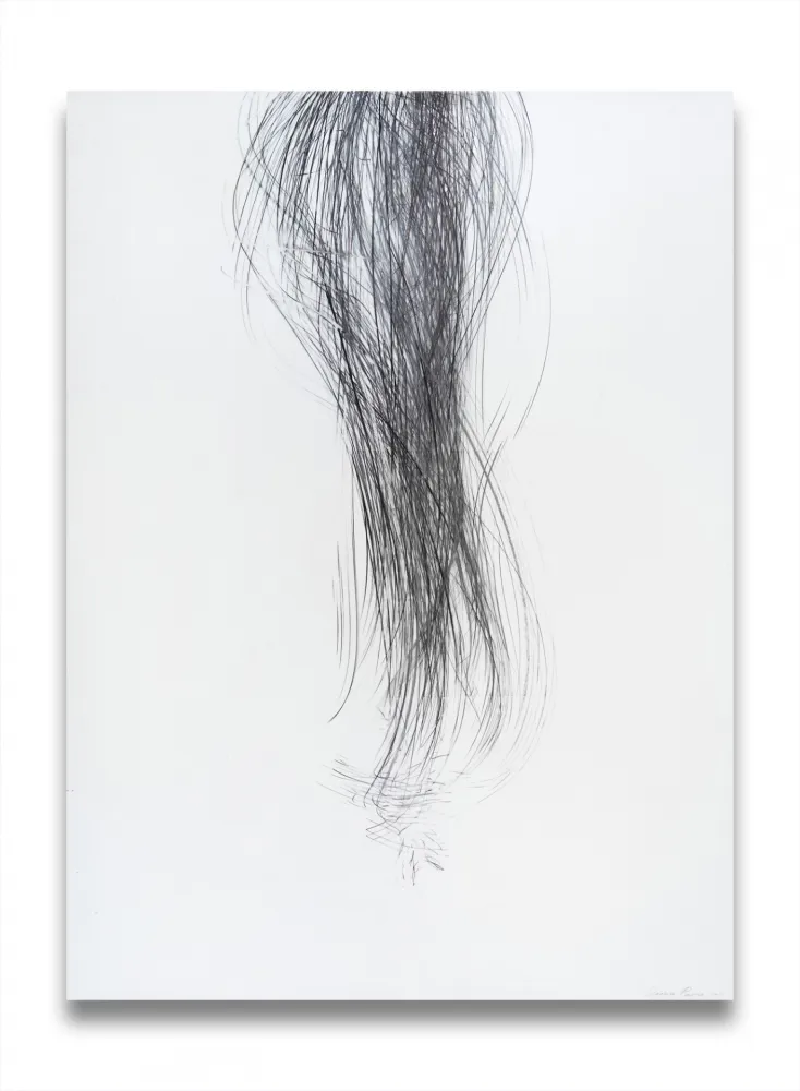 Geen Techniek Peerna - Spill (ref 857)