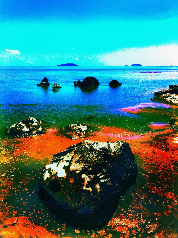 Geen Techniek Pellarose - Pacific Orange Rocks