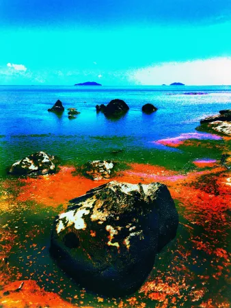 Geen Techniek Pellarose - Pacific Orange Rocks