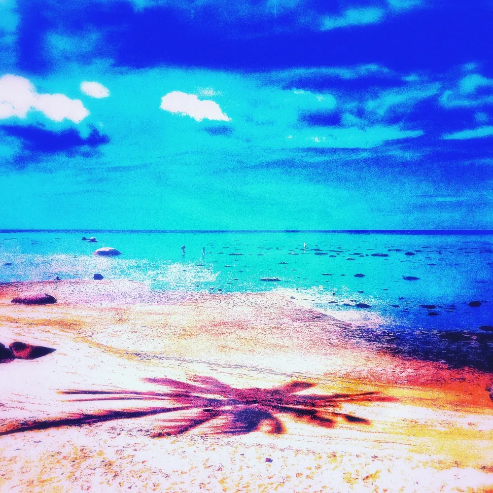 Geen Techniek Pellarose - Pacific Palms