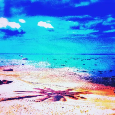 Geen Techniek Pellarose - Pacific Palms