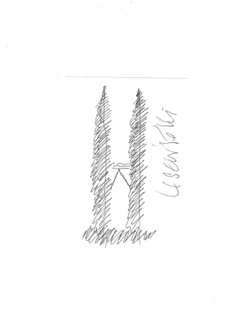 Geen Techniek Pelli - Petronas Towers