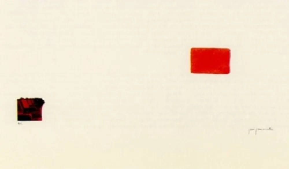 Lithografie Perejaume - El bosc a casa-3