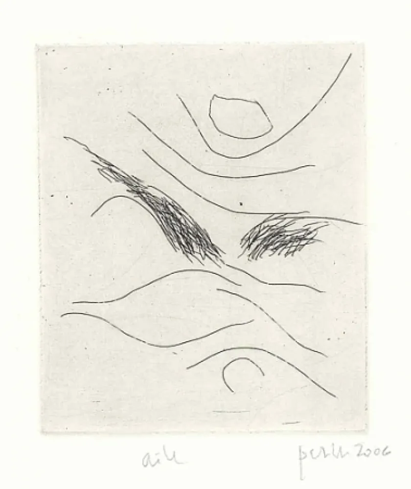 Geïllustreerd Boek Perilli - Dal diario di Max