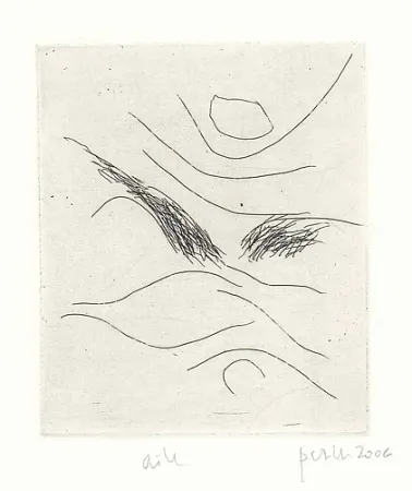 Geïllustreerd Boek Perilli - Dal diario di Max