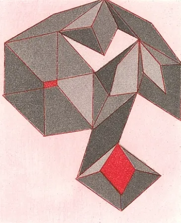 Geïllustreerd Boek Perilli - De Antonisseide 1951