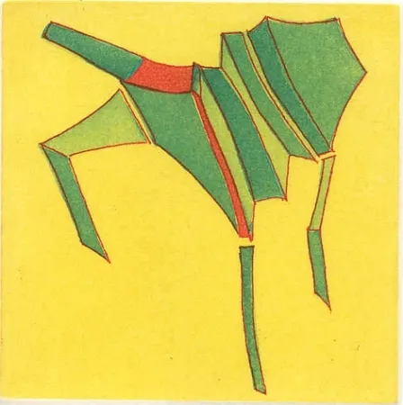 Geïllustreerd Boek Perilli - Ebbrezza di placamenti