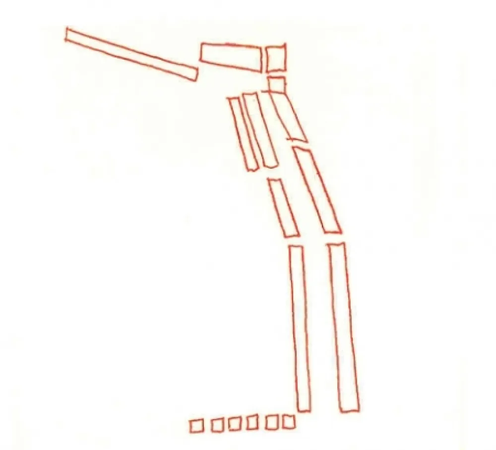 Geïllustreerd Boek Perilli - Main D'Aile