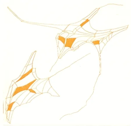 Geïllustreerd Boek Perilli - Phrases