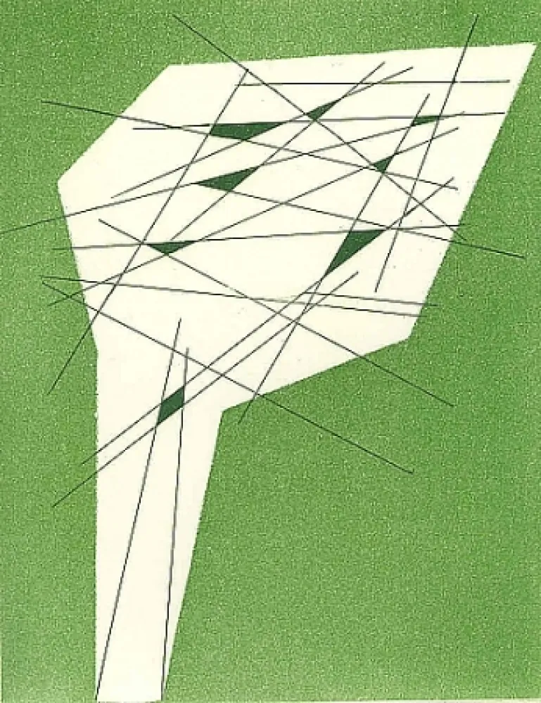 Geïllustreerd Boek Perilli - Pot-pourri