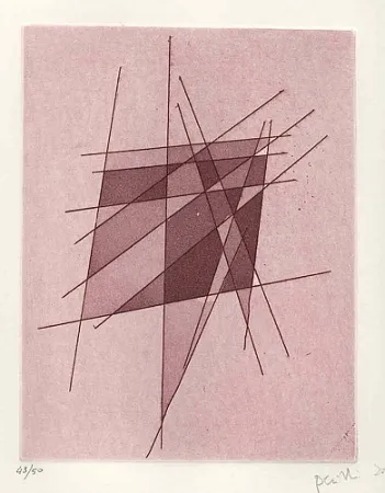 Geïllustreerd Boek Perilli - Sylvatica