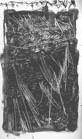 Geïllustreerd Boek Perilli - Theatrum Sanitatis