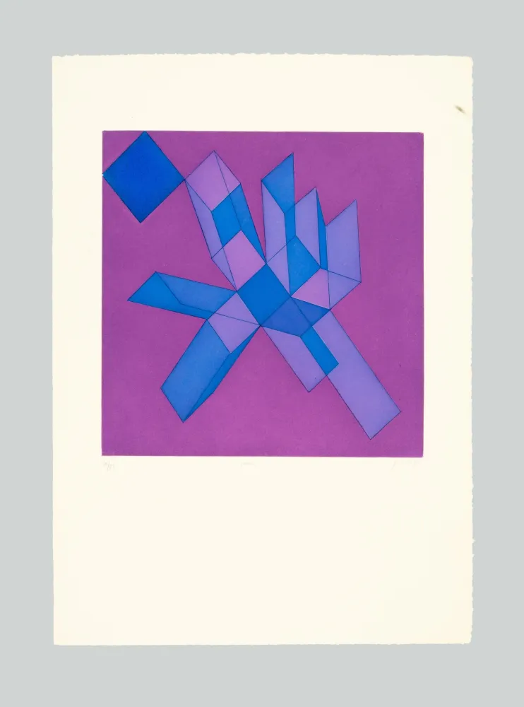 Ets En Aquatint Perilli - Viodra