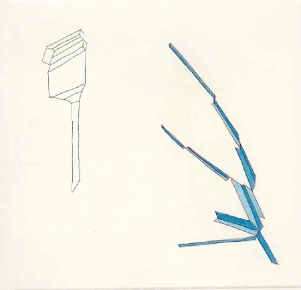 Geïllustreerd Boek Perilli - !/WA