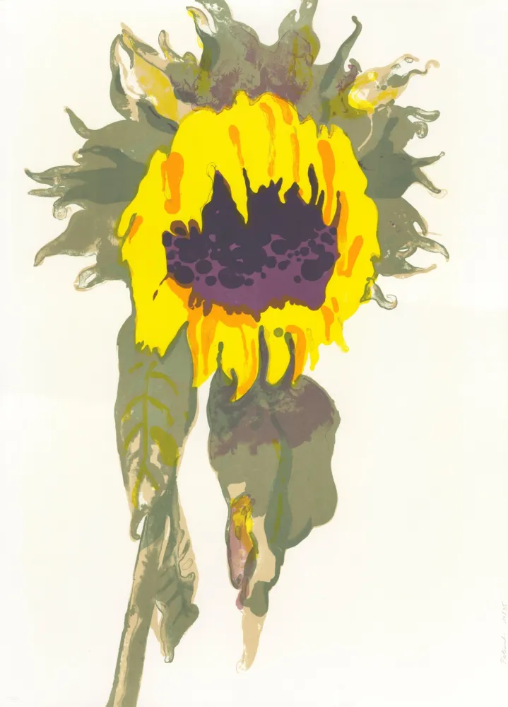 Lithografie Pétrovitch - Soleil