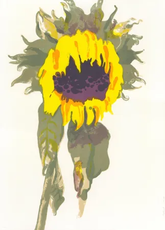 Lithografie Pétrovitch - Soleil