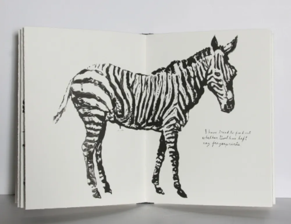 Geïllustreerd Boek Pettibon - Plots on Loan