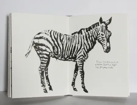 Geïllustreerd Boek Pettibon - Plots on Loan