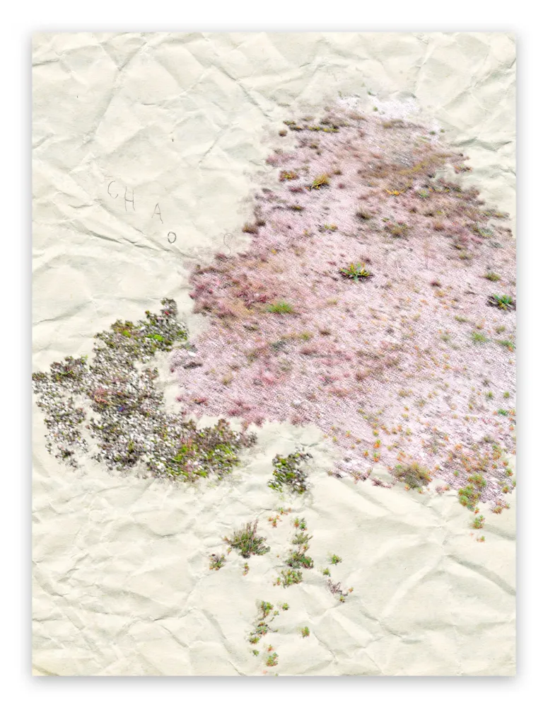 Fotografie Pezzot - I. Anthropological Purity