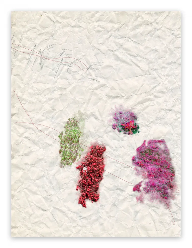 Fotografie Pezzot - IV. Nice